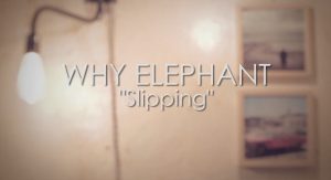 why-elephant